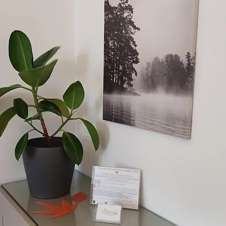 Vigevanohouse Виджевано